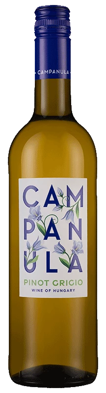 Campanula Pinot Grigio 2021