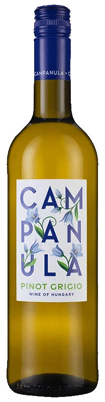 Campanula Pinot Grigio 2022